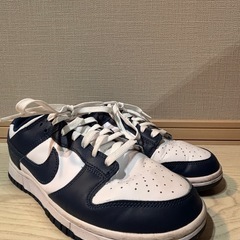Nike Dunk Low Valerian Blue の画像