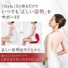 MTG 姿勢ケア ボディメイクシート スタイル BS-ST1917F-R の画像