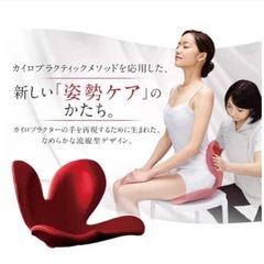 MTG 姿勢ケア ボディメイクシート スタイル BS-ST1917F-R の画像