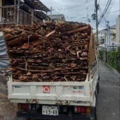 バーベキュー巻きに