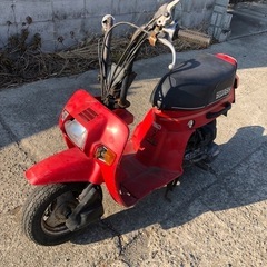 ホンダ　スカッシュ　書類付レストアベース車の画像