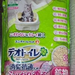 猫砂の画像
