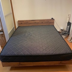 クイーンベット美品