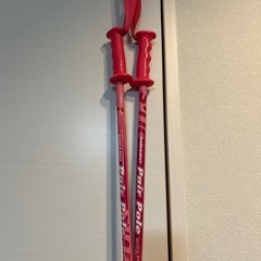 スキーストック
