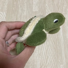 かめ　マスコット　キーホルダー　人気の画像