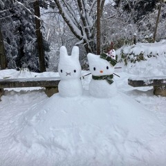 2月15日（土）金剛山☃️ - 友達