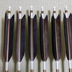 2015ジュラ矢 尾羽根 6本組