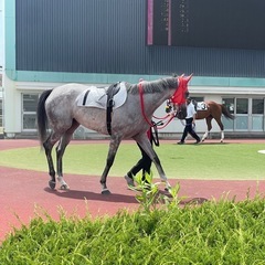 一緒に競馬の話をしたり競馬場に行ったりできる友達がほしいです😊 - 友達