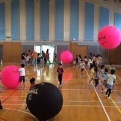 杉並区でキンボール　日本一を目指す　小学生以上男女の画像