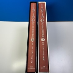 カミカゼの画像