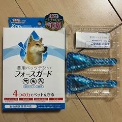 フォースガード