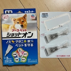ショットオン