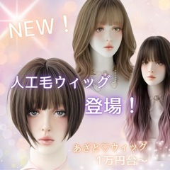 ⭐️ プロのアドバイス付き‼️ウィッグ無料試着イベント ⭐️ 無...