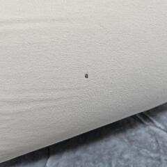 Yogibo Mini　1月31日(金)までに引き取りに来れる方は1000円とさせていただきます。