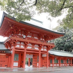 神社巡りしませんか✨