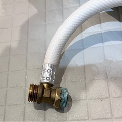 パナソニック温水洗浄便座 ビューティ・トワレ パステルアイボリー DL-ERX10-CPの画像