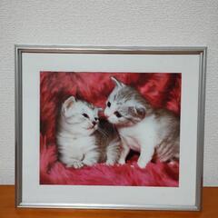 可愛い 子猫の写真の額縁