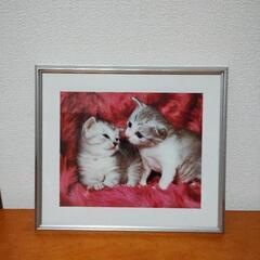 可愛い 子猫の写真の額縁の画像