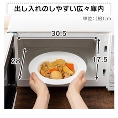 アイリスオーヤマ 電子レンジの画像