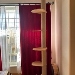猫タワー譲ります