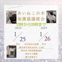😺「あいねこの木」保護猫😺譲渡会🐾
