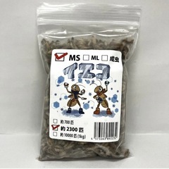 ¥1,650-冷凍イエコ MS 約2300匹 200g