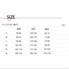 3Dエクストラレインスーツの画像
