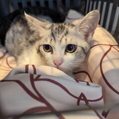 ✨家族決定✨かわいい兄弟