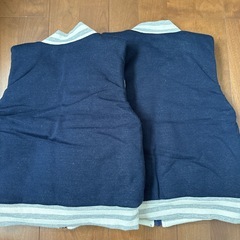 champion 110.120の画像