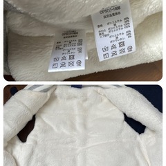 champion 110.120の画像