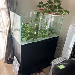 水槽　　アクアデザインアマノ