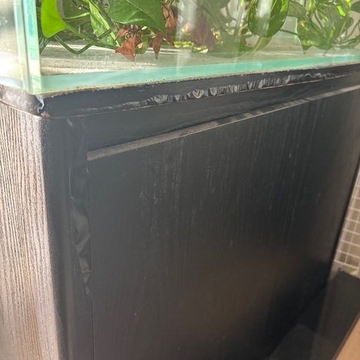 水槽　　アクアデザインアマノ