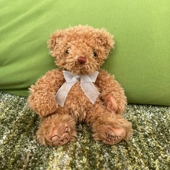 明るい茶色のテディベア