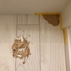 床の部分補習！！！