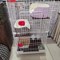 猫用ゲージの画像