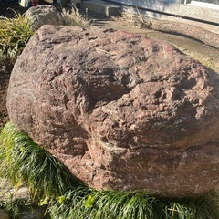 庭石貰ってください！（種類様々）の画像