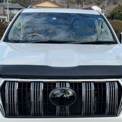 プラド150後期 バグガード EGR