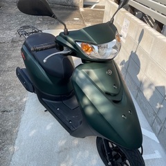 去年買ったばかり