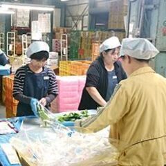 【未経験歓迎】マイカー通勤可能◎野菜工場でライン作業・選別・仕分け・加工などの画像