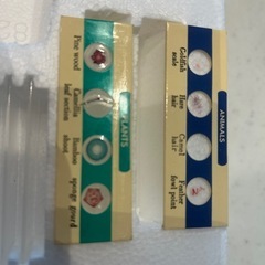 ビクセン　顕微鏡　600倍の画像