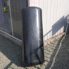 ビッグミット