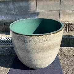 睡蓮鉢  砂色  直径47cm 高さ41cm  メダカ