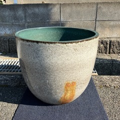 睡蓮鉢  砂色  直径47cm 高さ41cm  メダカの画像