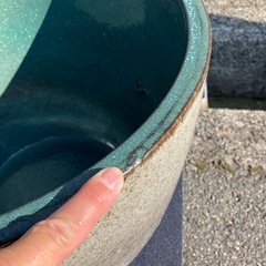 睡蓮鉢  砂色  直径47cm 高さ41cm  メダカの画像
