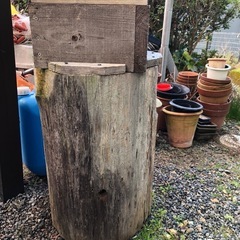 ミツバチ分峰用丸胴