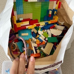 【LEGO. アリエル&フランダー】の画像