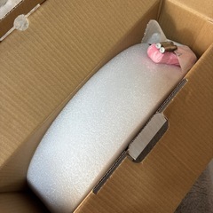 新品未使用シーリングライトの画像