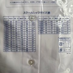 【新品】カッターシャツの画像