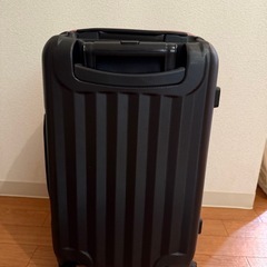 キャリーバッグの画像