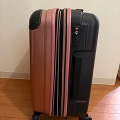 キャリーバッグの画像